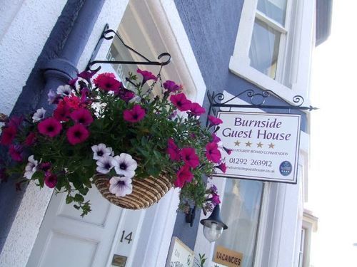 Burnside 4*